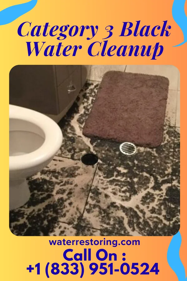 Category 3 Black Water Cleanup in Bradford, OH