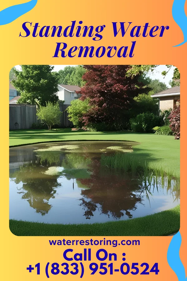 Standing Water Removal in Bradford, OH